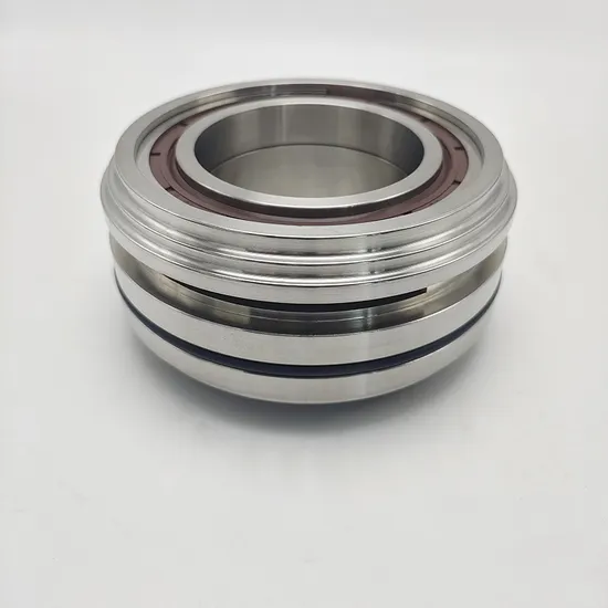 Vx186 Pumps Shaft Seal PBT. D051/PBT. D050